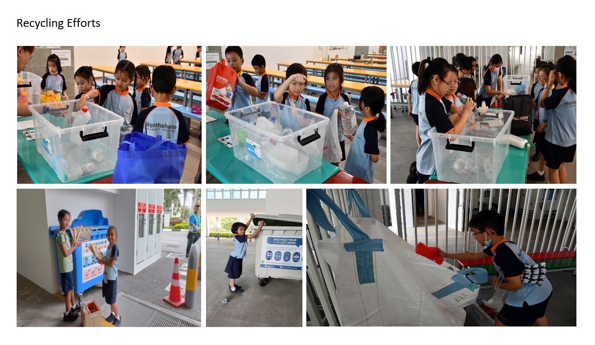 Recycling Eforts