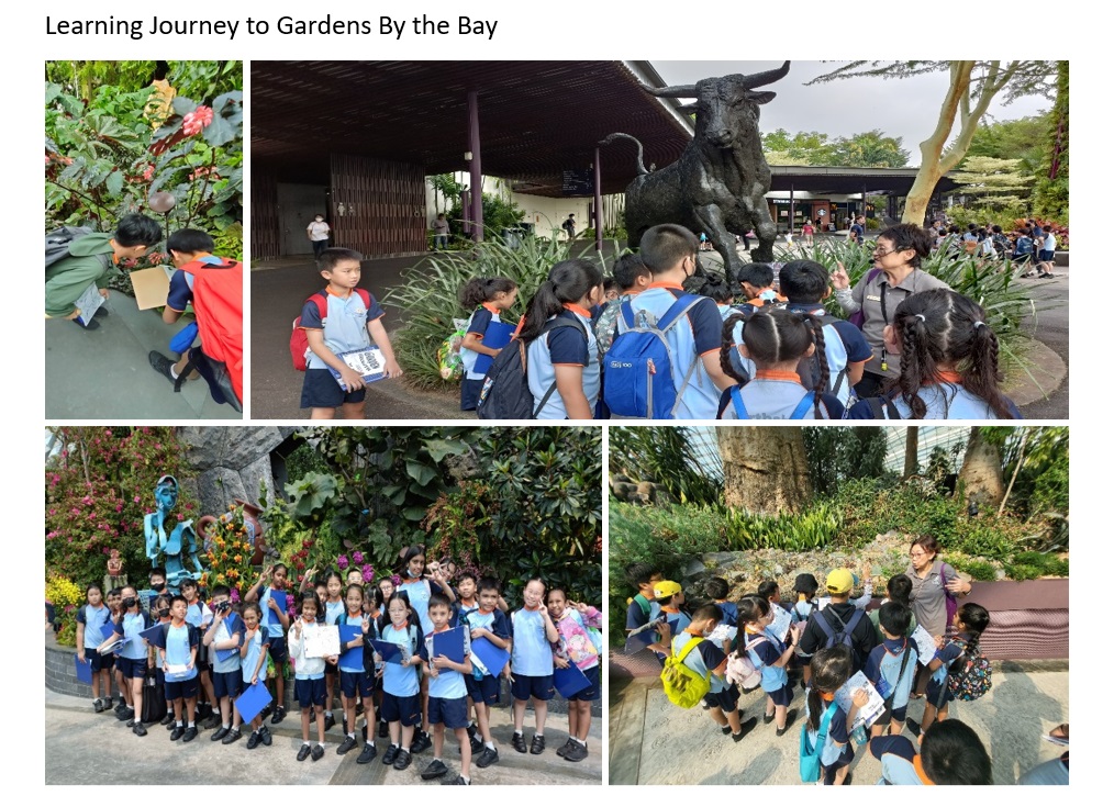 Learning Journey to Gardens By The Bay